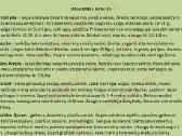 Avietės Šilauogės Gervuogės Daigai Sodinukai - nuotraukos Nr. 7