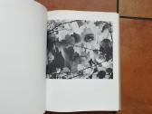 Algimantas Kezys, S. J. "Form and Content" 1972 m. - nuotraukos Nr. 6