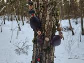 Vėrinys su erelio galva iš Meksikos šamanų. - nuotraukos Nr. 5