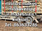 Malkos miškovežiu ištisus metus - nuotraukos Nr. 3