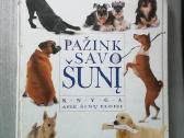 Pažink savo šunį