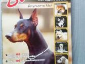 Vsio o samix populiarnix poroda sobak 2005 m