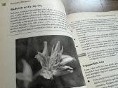 Knyga Skaitmeniniai fotoaparatai - nuotraukos Nr. 4
