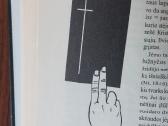 Knyga - Lietuvos istorijos paminklai . - nuotraukos Nr. 21