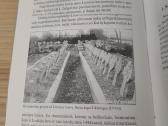 Lietuvos kariuomenė 1918-1998 - nuotraukos Nr. 2