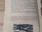 Knyga vaikams. Tavo gynėjai - nuotraukos Nr. 2