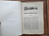 J. Skvireckas "Šventasis raštas" Iv tomas 1932 m. - nuotraukos Nr. 7