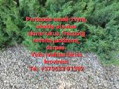 Parduodu žvyrą-skaldą-juodžemį Radviliškyje ir kt - nuotraukos Nr. 5