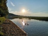 1,29 ha sklypas netoli Dusios ežero, Dzūkijoje - nuotraukos Nr. 4