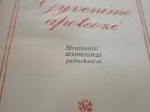 K. Ambrasas. Gyvenimo apoteozė - nuotraukos Nr. 2