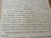 Speige ir kaitroje - nuotraukos Nr. 3