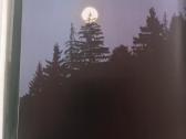 Lietuvos miškuose albumas ( A4 )-puiki dovana - nuotraukos Nr. 6