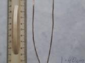 Sidabrinie grandinele