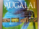 Žinynas. Augalai - nuotraukos Nr. 2