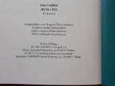 Jane Gardam ,knyga - Meilužis . - nuotraukos Nr. 6