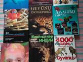 Art Directors' Index to Photographers No. 10: Asia - nuotraukos Nr. 12