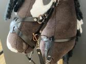 Hobby Horsing Arkliukai - nuotraukos Nr. 27
