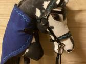 Hobby Horsing Arkliukai - nuotraukos Nr. 23