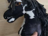 Hobby Horsing Arkliukai - nuotraukos Nr. 19