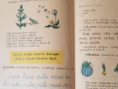 Seni vadovėliai - nuotraukos Nr. 4