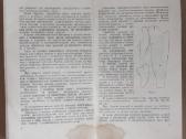 Aukštos kokybės drabužių pasiuvimas knyga 1955 m. - nuotraukos Nr. 3