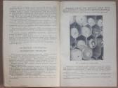 Siuvimo gamybos organizavimas Usa knyga 1964m. - nuotraukos Nr. 4