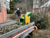 Aukštalipiai,medžių pjovimas,kelmų naikinimas. - nuotraukos Nr. 21