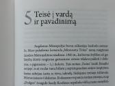 Knyga - Ko nenupirksi už pinigus . - nuotraukos Nr. 7