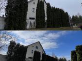 Medžių pjovimas-genėjimas-gyvatvorių karpymas - nuotraukos Nr. 18