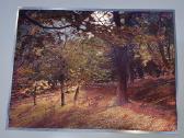 Vintage Dufex 3D Foil Print 1989