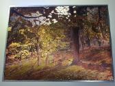 Vintage Dufex 3D Foil Print 1989 - nuotraukos Nr. 4