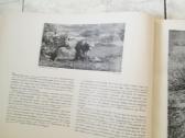 Negirdetas,nuostabus gyvunu pasaulis 1932 m. - nuotraukos Nr. 6