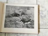 Negirdetas,nuostabus gyvunu pasaulis 1932 m. - nuotraukos Nr. 7