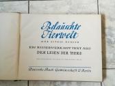 Negirdetas,nuostabus gyvunu pasaulis 1932 m. - nuotraukos Nr. 11