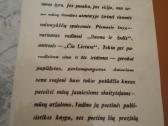 E.miezelaitis knygos - nuotraukos Nr. 4