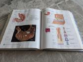 Anatomija (Principles of anatomy and physiology) - nuotraukos Nr. 2