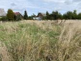 Žolės pjovimas,žemės frezavimas,arimas - nuotraukos Nr. 19
