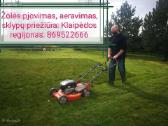Žolės pjovimas, trimeriu žoliapjove - nuotraukos Nr. 2