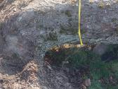 Parduodamas kaštonas mazesne nei malku kaina - nuotraukos Nr. 6