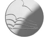 5 eurų sidabrinė moneta Literatūra