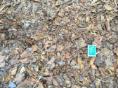 Natūralus nefrakcijuotas pušies mulčas 1000l - nuotraukos Nr. 3