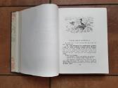 Редкая книга сказок 1951 год. - nuotraukos Nr. 7