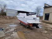 Katris Bayliner Sunbridge 2155 1989m - nuotraukos Nr. 3