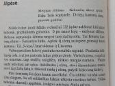 Knyga - Lietuva 1918-1938 m. - nuotraukos Nr. 25