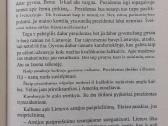 Knyga - Lietuva 1918-1938 m. - nuotraukos Nr. 31