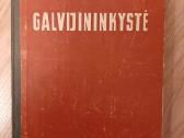 Galvijininkystė