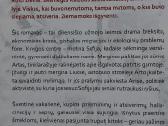 Ali Smith + Ruduo / Ali Smith - Žiema . - nuotraukos Nr. 6
