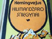 E.hemingvejus ,d.selindzeris,r.oldingtonas -knygos - nuotraukos Nr. 10