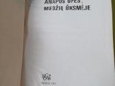 E.hemingvejus ,d.selindzeris,r.oldingtonas -knygos - nuotraukos Nr. 13