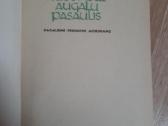 Nuostabus augalų pasaulis - nuotraukos Nr. 2